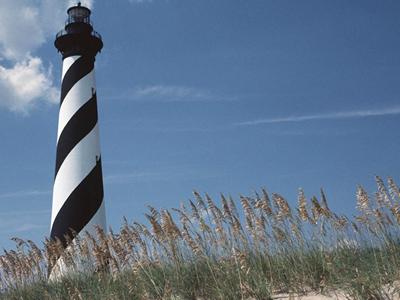Hatteras+Island%3A+All+About+Turtles image