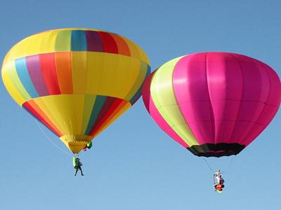 Great Wellsville Balloon Rally image