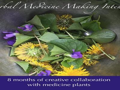 Herbal Medicine Making Intensive image