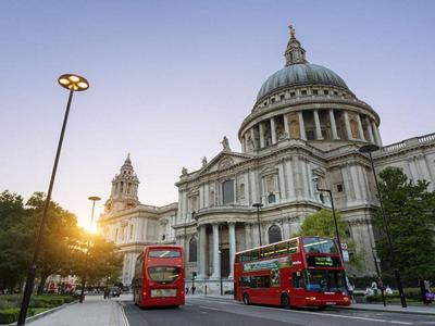 Half Day Tour of London with St Paul's Cathedral and Guard Change image