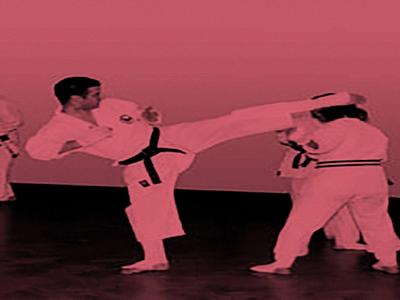 Kenshukai Karate image